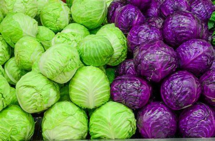 Superfood of the Month Cabbage Lexington Medical Center Blog LexWell