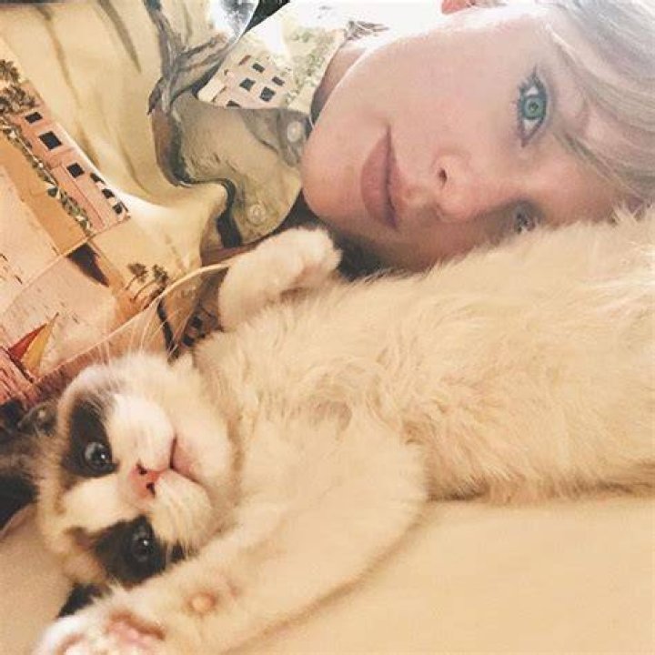 Taylor Swift Adopted Her New Cat &mdash; Named Benjamin Button &mdash; Right Off