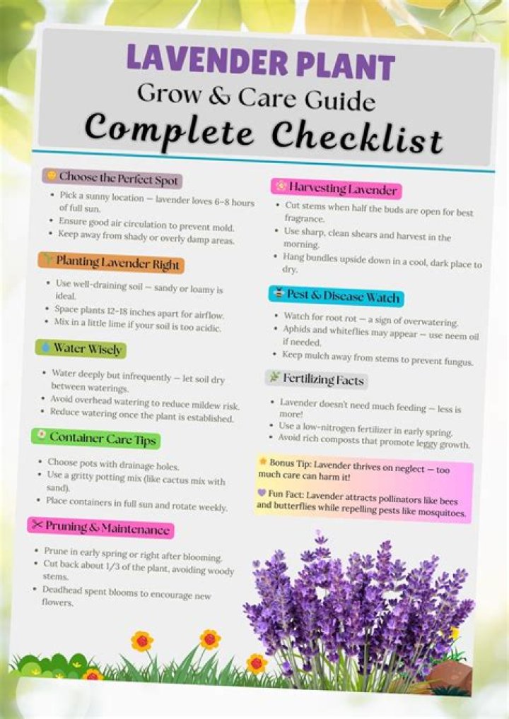 The Comprehensive Guide To Lavender Darcangelo: Wikipedia