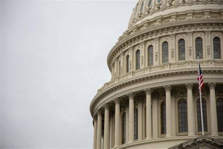 The Making of a Congressional Con Man The Nation
