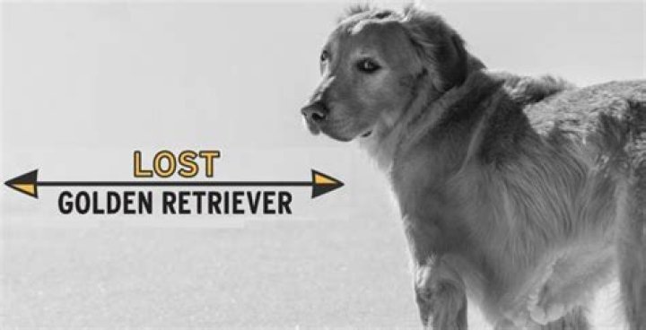 The retriever of the lost rings gets a reward! Emma Watson’s heartfelt