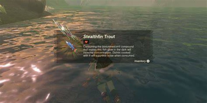 The Ultimate Guide To Stealthfin Trout: Unlocking The Secrets Of Catching The Elusive Predator