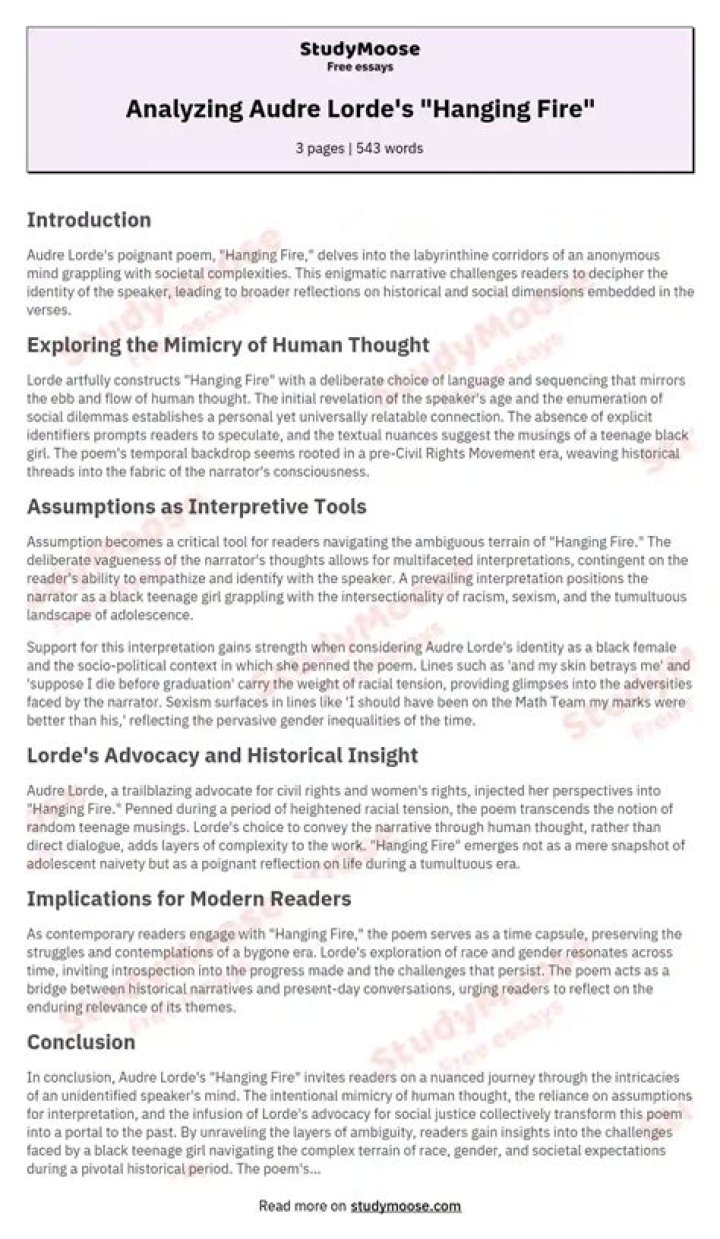 Through analyzing Audre Lorde&rsquo;s essay on multiple identities and