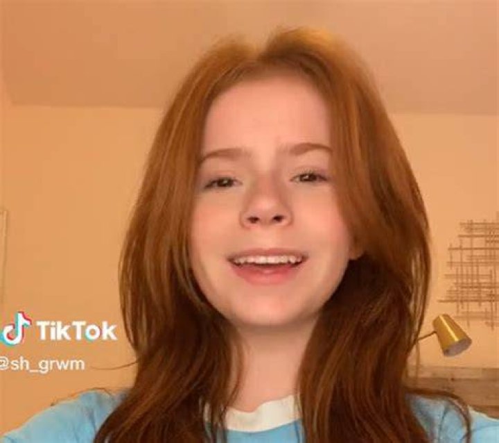Tiktok Harper Zillmer Age Height Wikipedia Bio And
