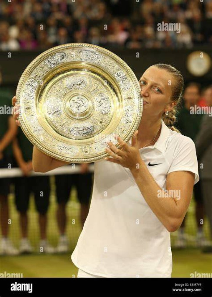 Twotime Wimbledon champion Petra Kvitova is engaged Daily Mail Online