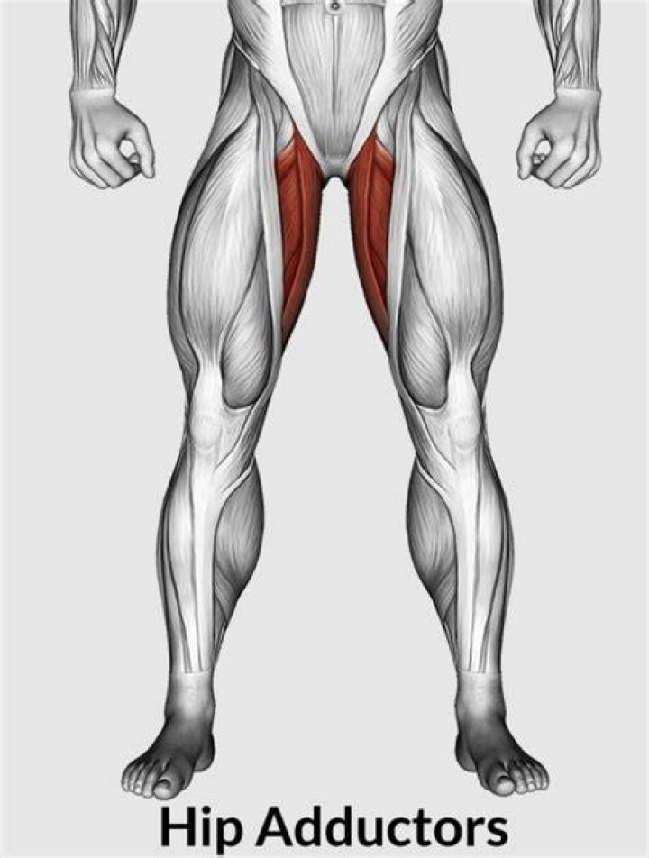 Ultimate Guide To Hip Abductor And Adductor Exercises
