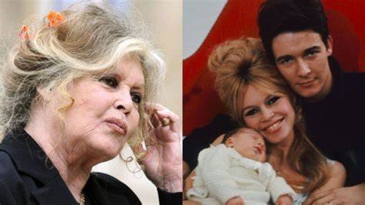 Uncovering The Professional Pursuits Of Brigitte Bardot's Son