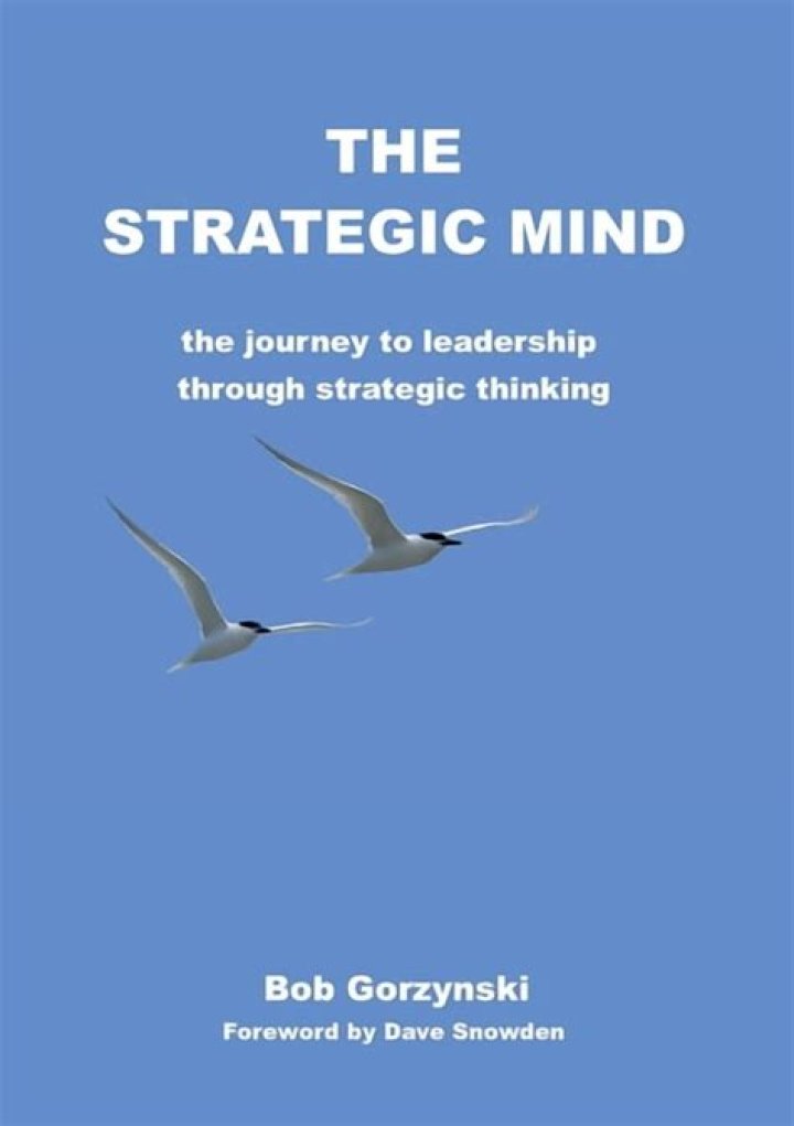 Unveiling The Strategic Mind Of Clare Selgin Wolfowitz: Insights And Revelations