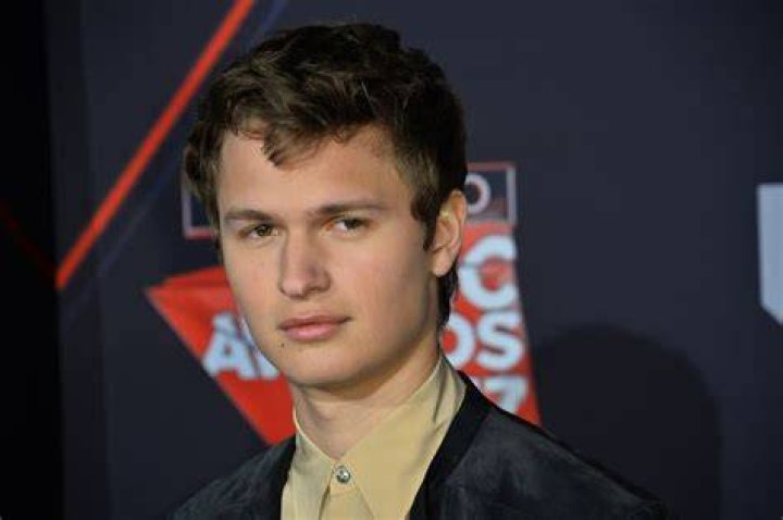 Unveiling The Truth: Ansel Elgort's Japan Connection
