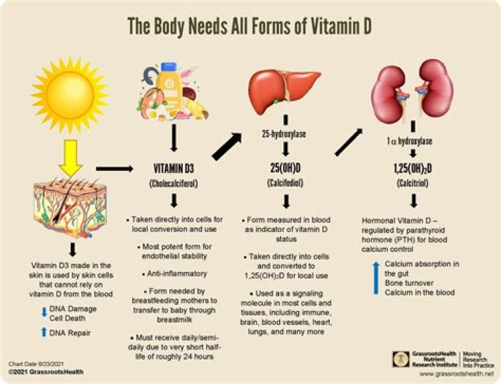 What does vitamin D do to magnesium?