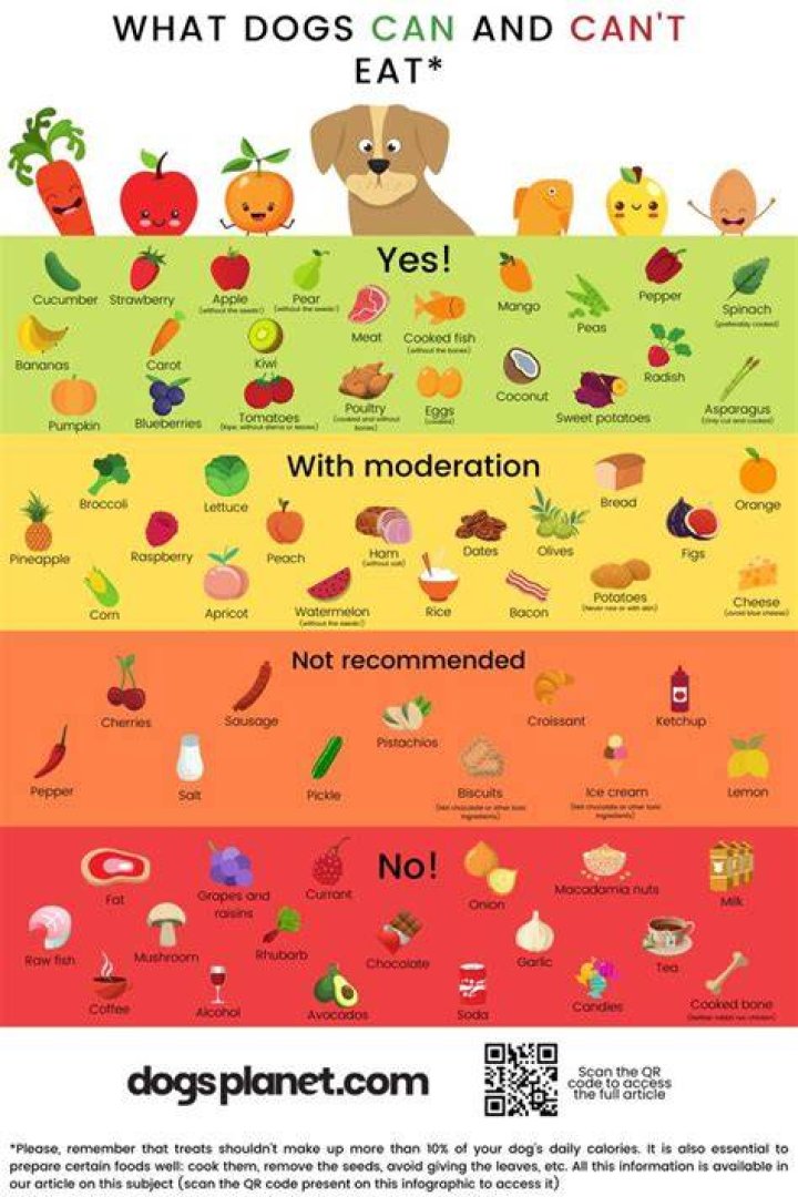 What fruit can a dog not eat?