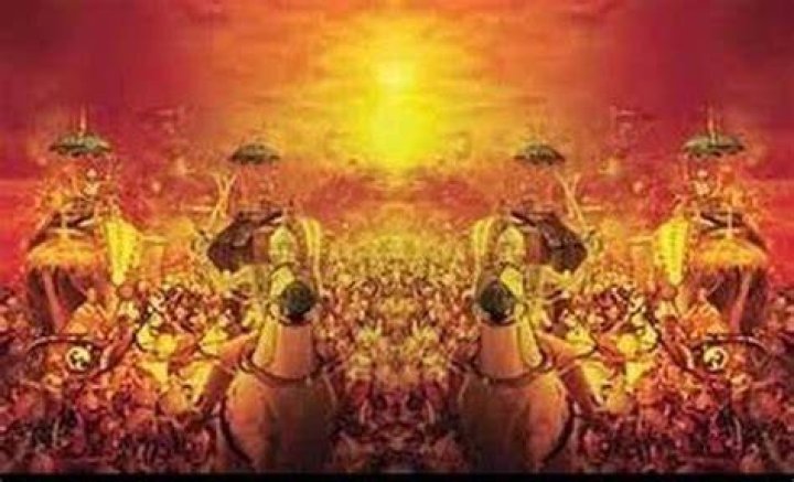 What happened with Narayani Sena in Mahabharata?