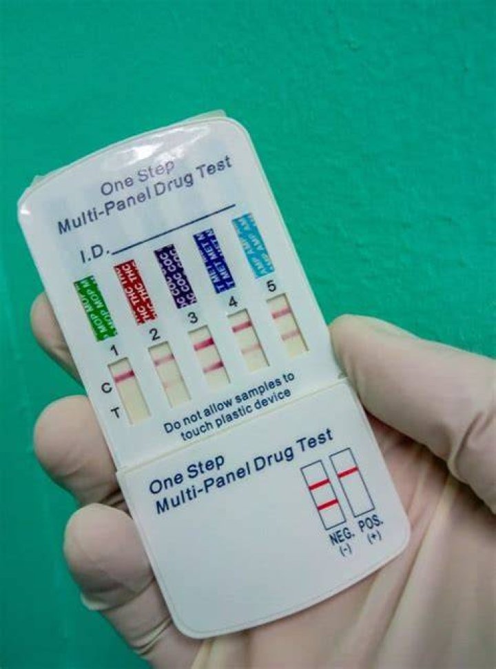 What is a 5 panel drug test?