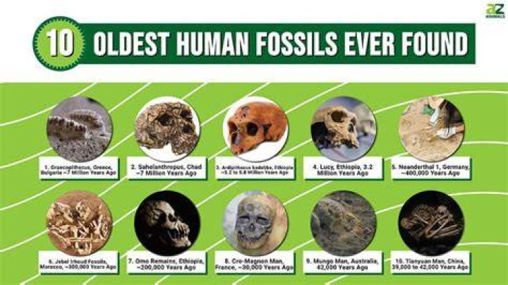 What is the oldest thing known to man?