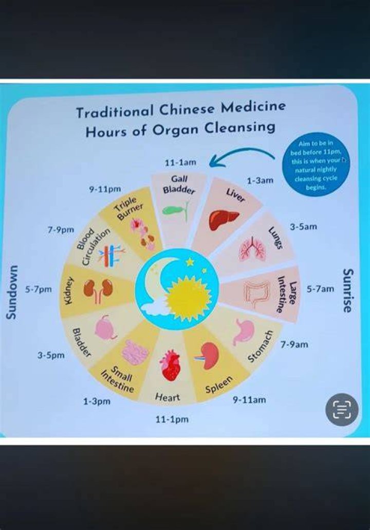 What organ is cleansing at 5am?