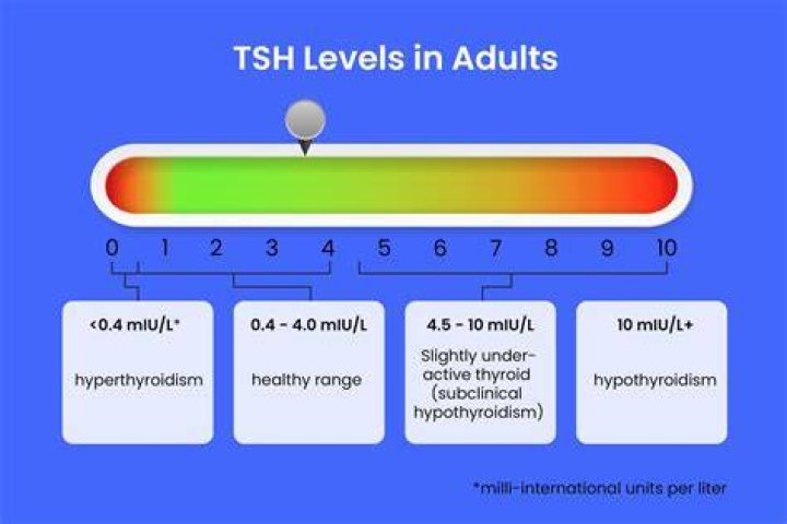 What should my TSH level be on levothyroxine?