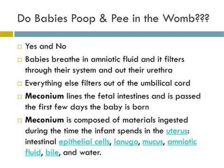 Where do babies pee go in the womb?