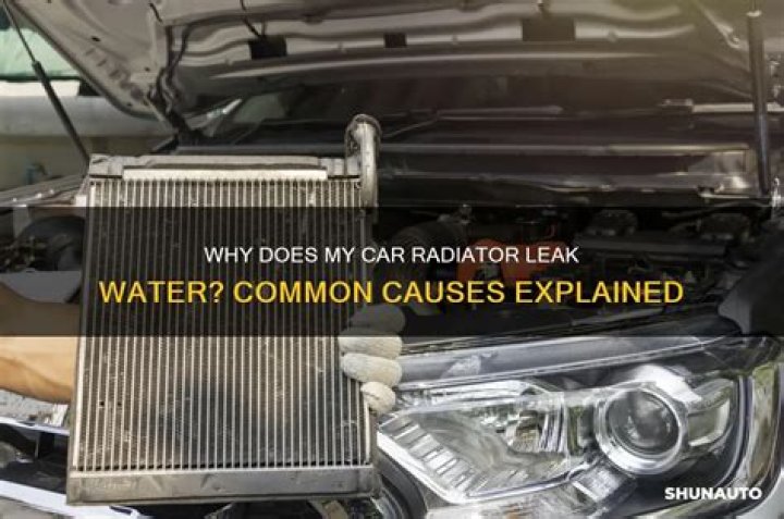 Why does my radiator whistle?