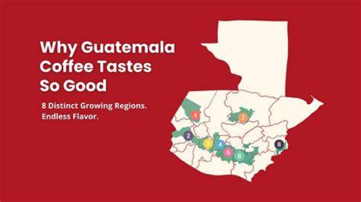 Why is Guatemalan coffee so good?