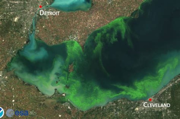 Why is Lake Erie toxic?