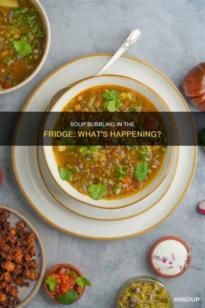 Why is my soup bubbling in the refrigerator?