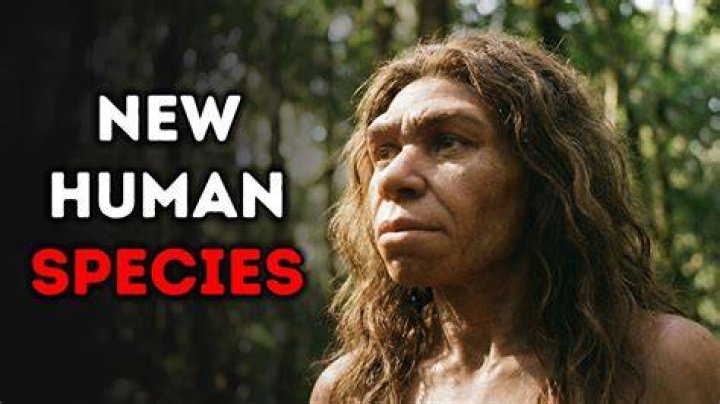 Will there be a new species of human?