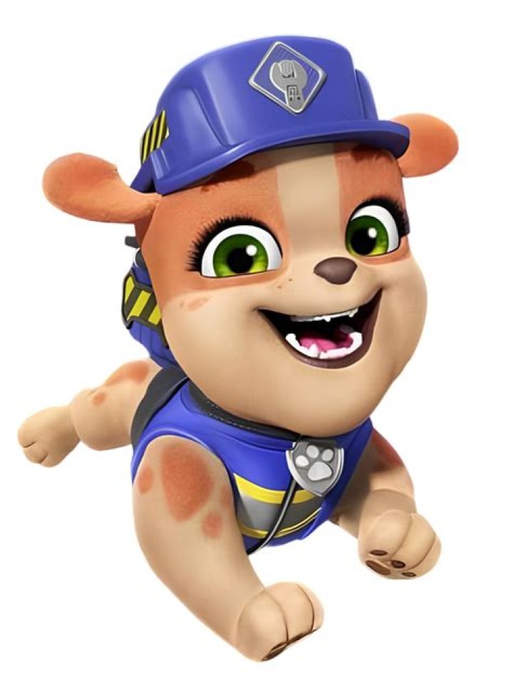 Zuma/Appearances PAW Patrol Wiki Fandom powered by Wikia